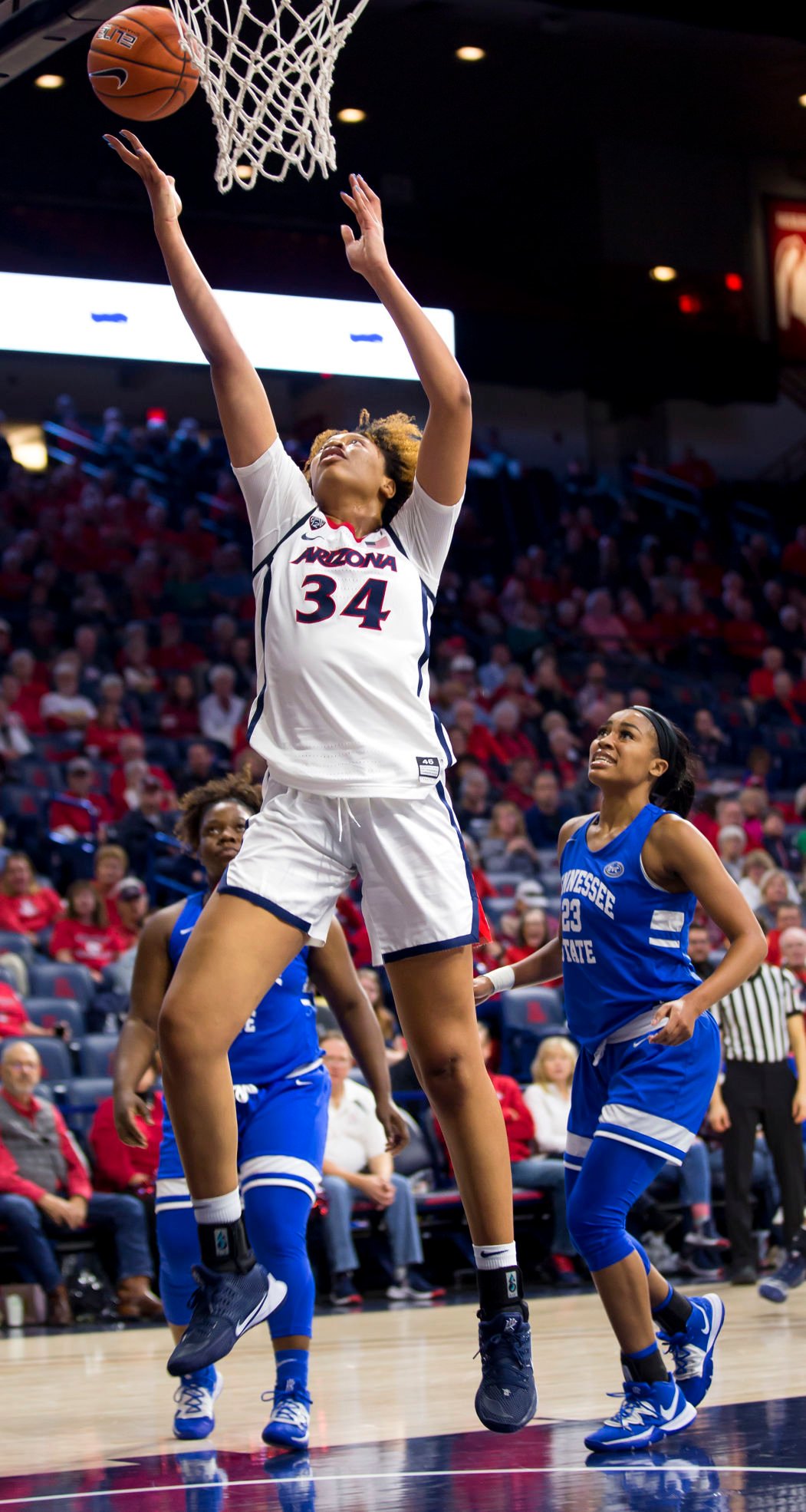Arizona vs Tennessee State